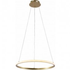 LED Pendant Lamp, 30W, Brushed Gold, Dimmable, Remote Control, CCT