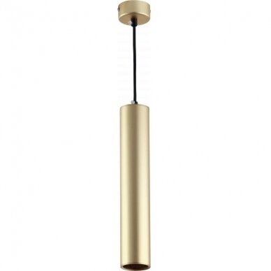 LED Hanging Fixture Fitting, Gold, 300mm 1