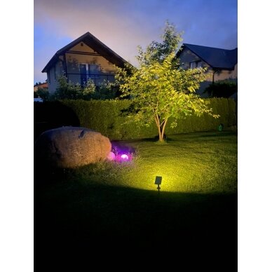 LED Solar Light, 2W, Spike, Warm Light 2